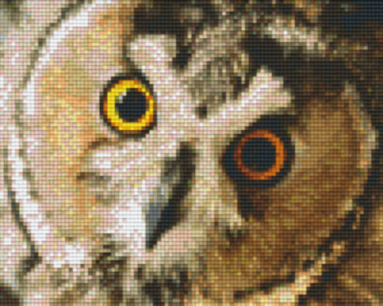 Owl Four [4] Baseplate PixelHobby Mini-mosaic Art Kit